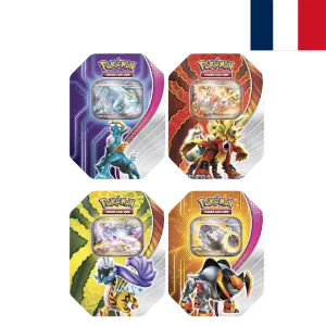 Pokémon JCC Paradox destinies FR ( 4 types)