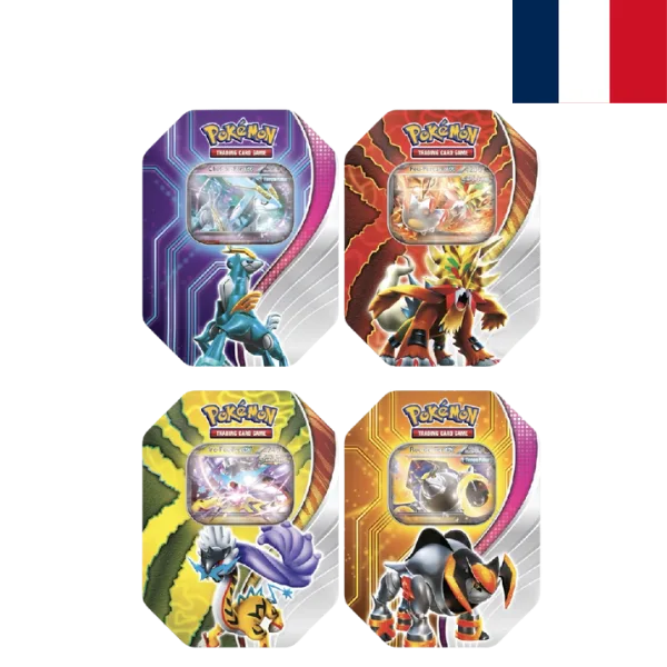 Pokémon JCC Paradox destinies FR ( 4 types)